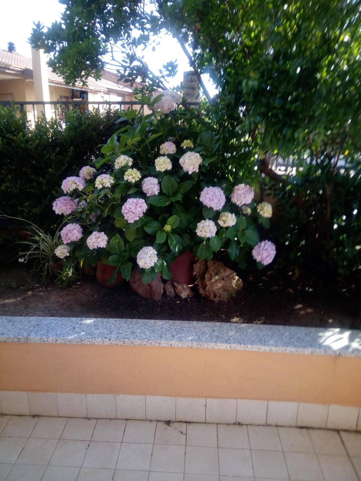 Casa Al Mare Con Giardino Villa Alghero Exteriör bild